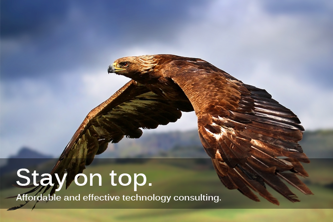 Technology Consulting